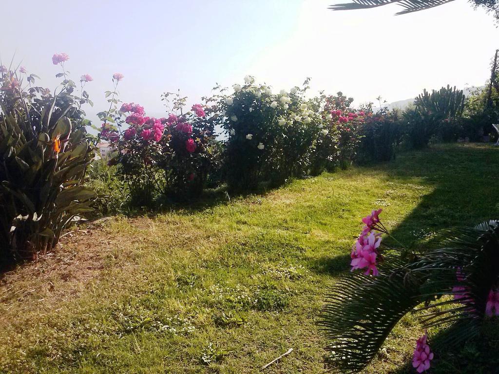 Villa Fontana Tropea Bagian luar foto